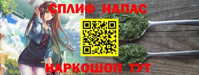 прущие грибы Тула