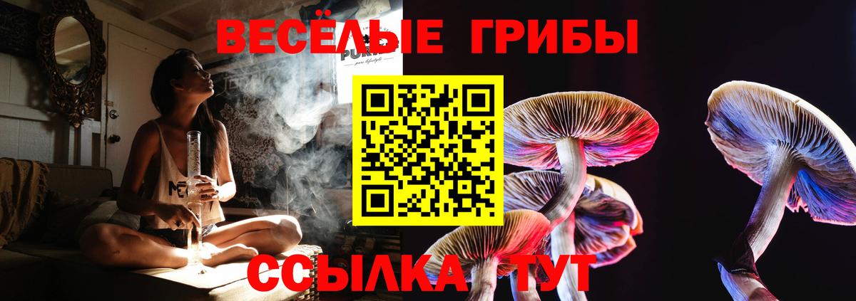 Галлюциногенные грибы Cubensis Медногорск
