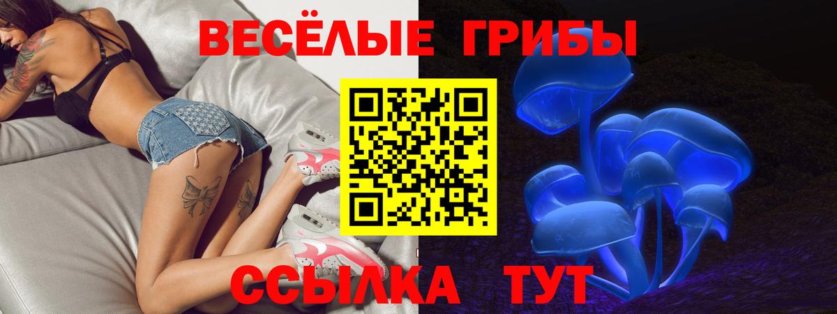 Псилоцибиновые грибы GOLDEN TEACHER  как найти закладки  Псилоцибиновые грибы Psilocybine cubensis  Медногорск  Вход с VPN 